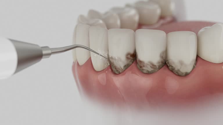 Reliable Dental contractor in Pontotoc, MS by Dentist Open Now